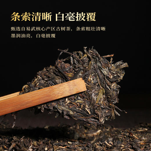 一球2022限量发售云南七子珍藏饼茶生茶 商品图2