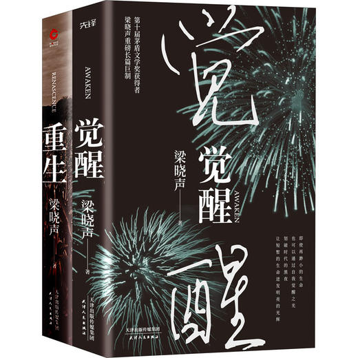 梁晓声新作:觉醒+重生(全2册) 商品图4