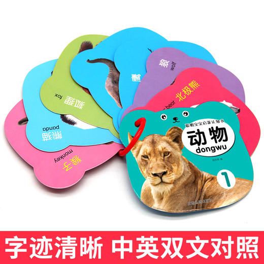 聪明宝宝启蒙认知书(全10册) 商品图3