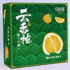 【云香柚】六椀菱 云香柚，个头大，香味在皮上浓郁持久，果肉柔嫩度非常好，耐放，非常好吃的一款柚子！ 商品缩略图1