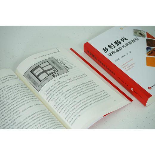 乡村振兴法律服务与实务指引 耿宝建 王林彬主编 商品图5