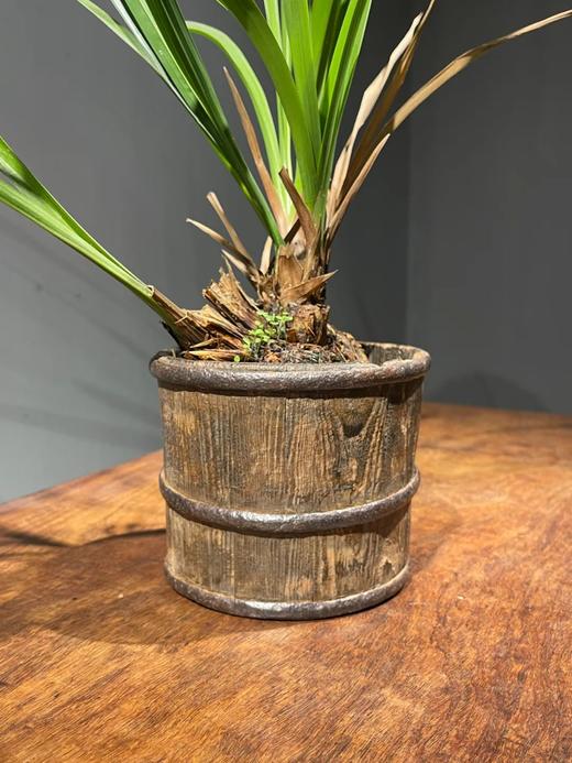 核桃木铁环箍老木桶，顺丰包邮 商品图13