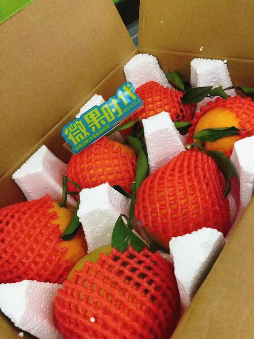 礼盒果冻橙+徐香（补单） 商品图6