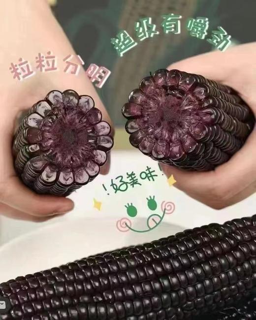 黑玉米一箱（拼团） 商品图3