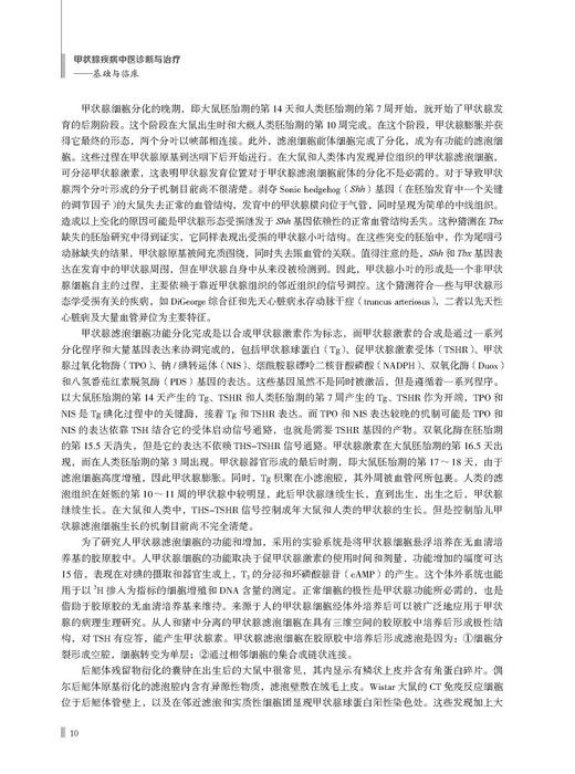 甲状腺疾病中医诊断与治疗 基础与临床 倪青 杨亚男 甲状腺常见病因病机鉴别诊断中医治疗方案 科学技术文献出版社9787518989041 商品图2