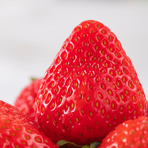 【辽宁好物】丹东草莓   1.8斤/2.5斤彩箱装  顺丰直达 商品图4