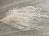 【干花】龙须草，多色可选 商品缩略图1