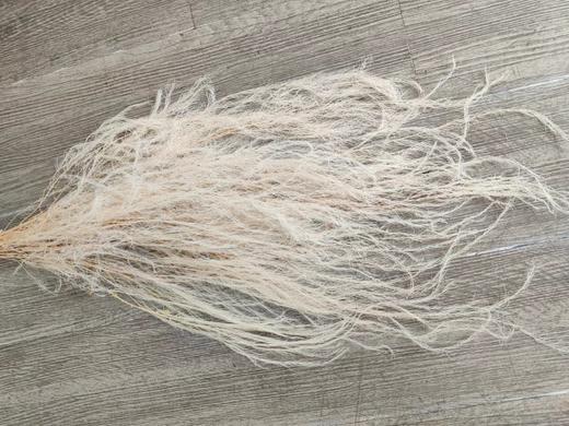 【干花】龙须草，多色可选 商品图1