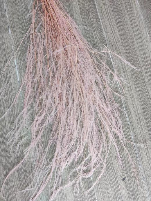 【干花】龙须草，多色可选 商品图0