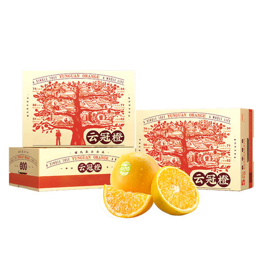 2024褚橙官方旗舰店 云冠橙云南当季新鲜水果冰糖橙L号 优级10斤 商品图1