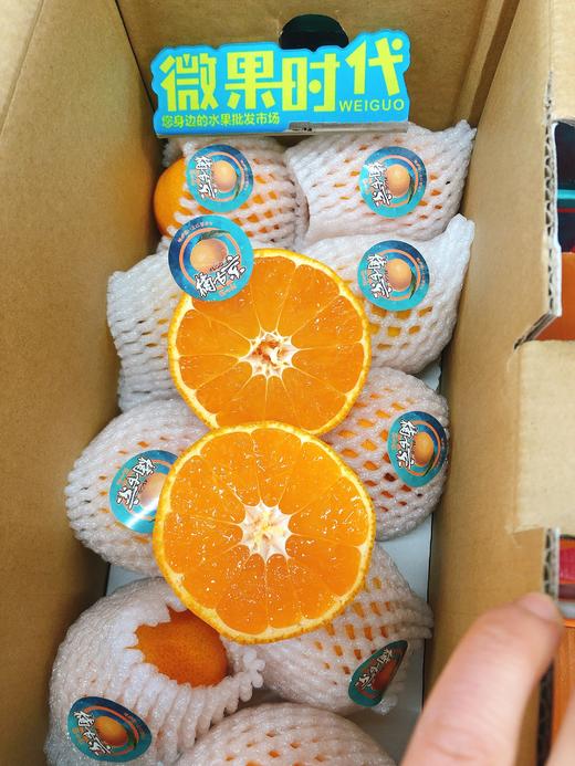 橘右京一箱（拼团） 商品图2