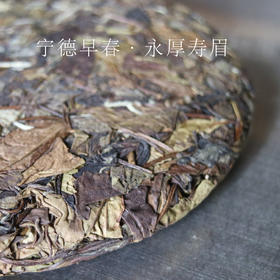 吴德泰宝茶·宁德早春·永厚寿眉 2012