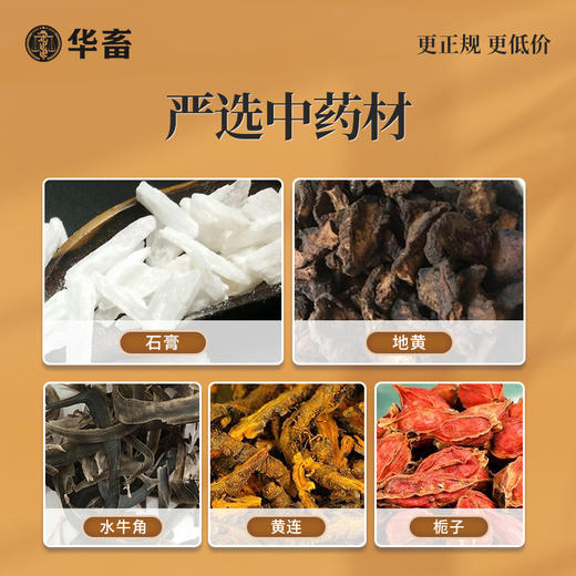 华畜清瘟败毒散1kg 瘟疫流感 清热泻火 严选中药材 效果好 禽畜通用呼吸道药 商品图2