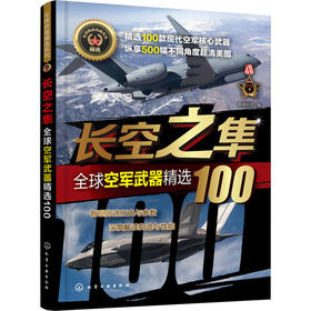 长空之隼 全球空军武器精选100