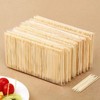 牙签一次性双头尖酒店餐厅饭店竹质家用商用竹签1包 商品缩略图0