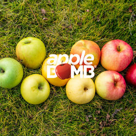 【MIX限定】苹果缤纷混合装 申通快递