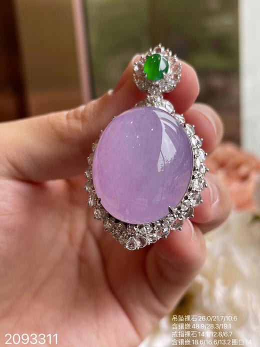 冰粉紫罗兰套装【2093311】具体价格微信咨询 商品图5