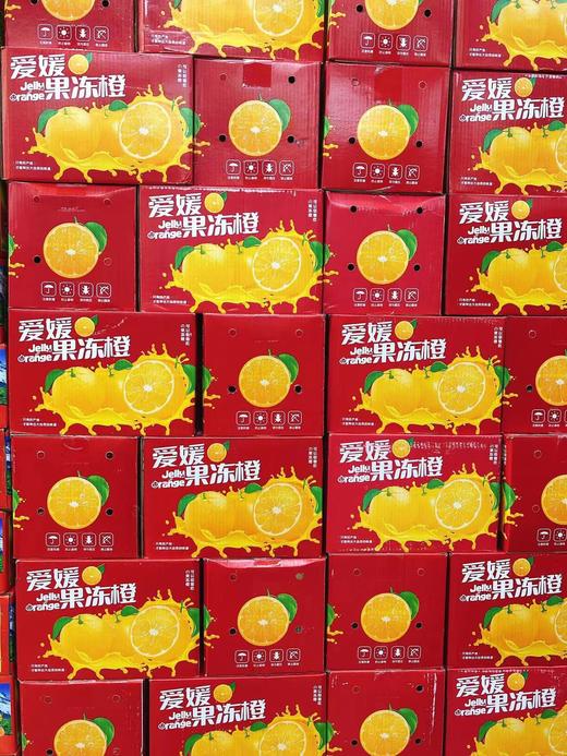 礼盒果冻橙+徐香（补单） 商品图3