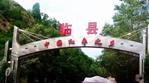 自然生长的新鲜红枣，口感酸甜，不售后，介意者勿拍！！木枣，二十几年无人管理  山西黄河边上长大 时效不保，不支持退货 商品图13