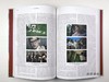 The Revolution is Dead - Long Live the Revolution: From Malevich to Judd, From Deineka to Bartana /  商品缩略图4