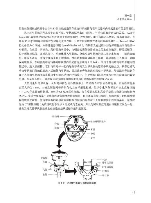甲状腺疾病中医诊断与治疗 基础与临床 倪青 杨亚男 甲状腺常见病因病机鉴别诊断中医治疗方案 科学技术文献出版社9787518989041 商品图3