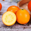【果蔬精选】广西脆蜜金柑 “升级版金桔”第三代脆蜜金柑 皮薄脆爽 甘甜多汁 无籽化渣 甜度可达20度+ 带皮吃甜蜜可口 商品缩略图0