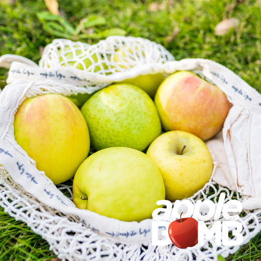 【MIX限定】苹果缤纷混合装 申通快递 商品图5