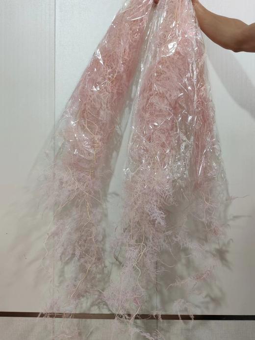 【干花】文竹，扎，多色可选 商品图7