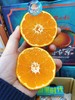 橘右京一箱（拼团） 商品缩略图4