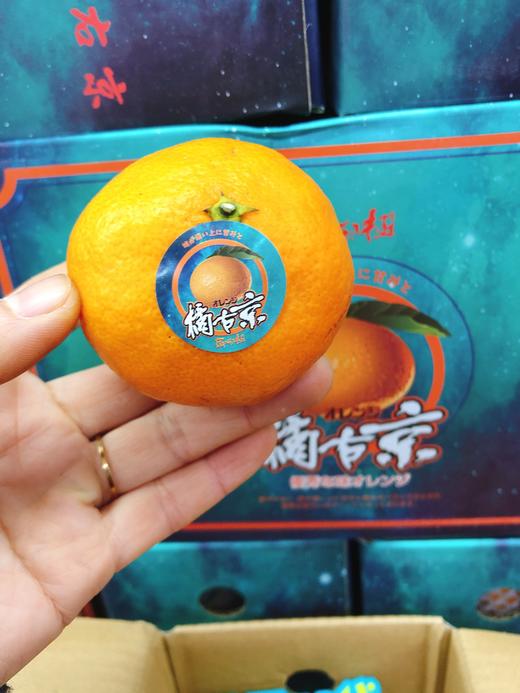 橘右京一箱（拼团） 商品图0