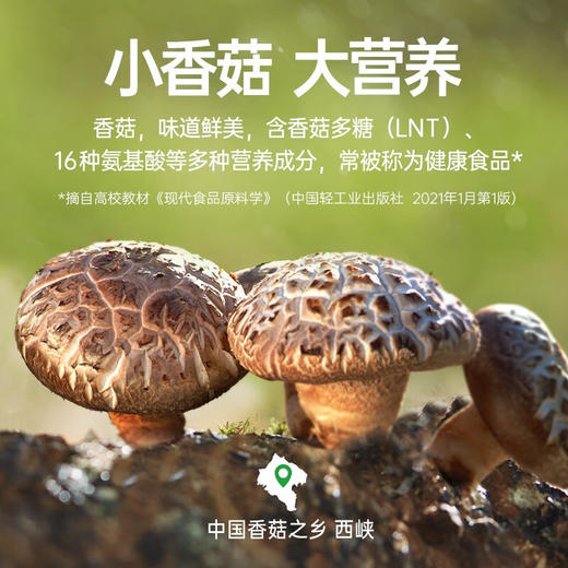 仲景香菇酱香辣味450克 商品图2