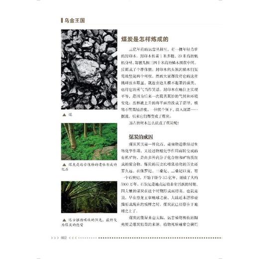 乌金王国(精)/低碳清洁能源科普丛书 商品图1