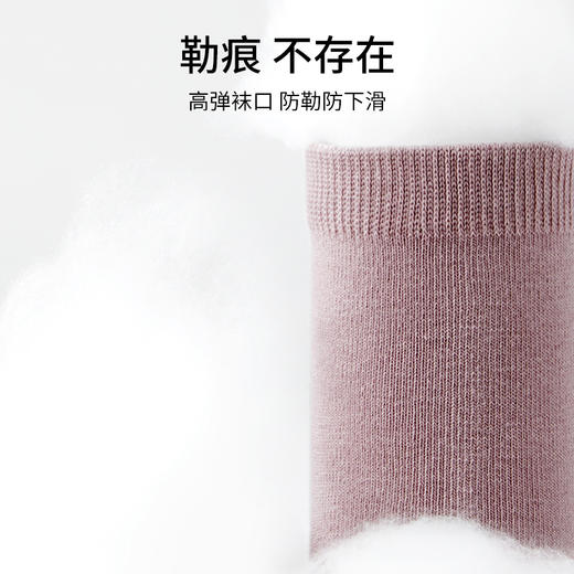 有棵树棉质薄款抑菌防臭女士中筒袜5双装C-S258 商品图3