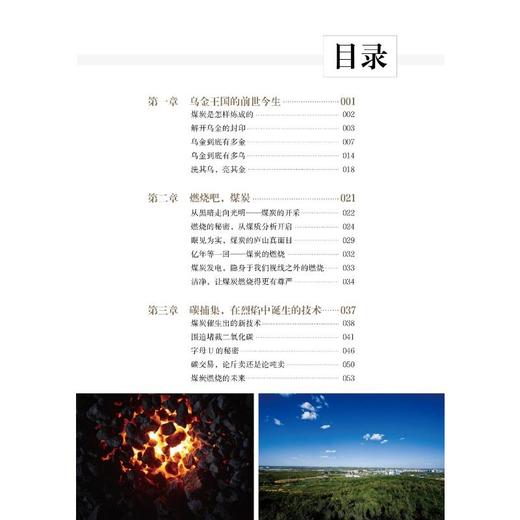 乌金王国(精)/低碳清洁能源科普丛书 商品图0
