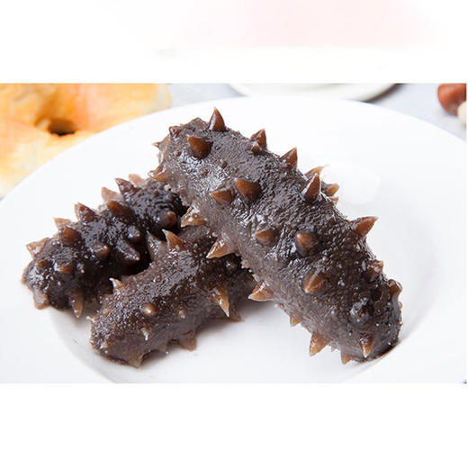 14-16头大连鲜食海参 商品图0