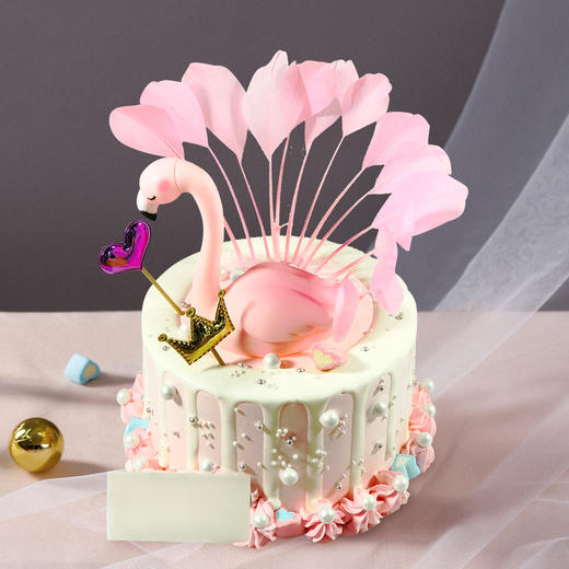 情迷火烈鸟1-2磅（可用10元立减劵） 商品图0