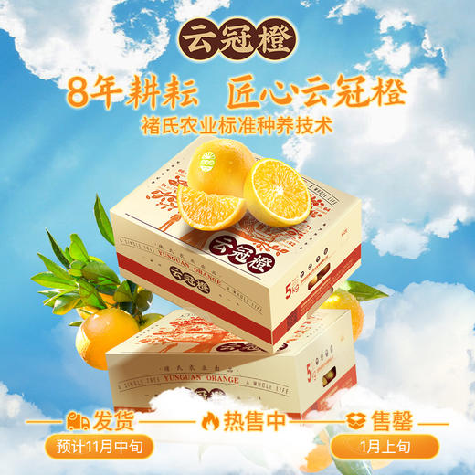 2024褚橙官方旗舰店 云冠橙云南当季新鲜水果冰糖橙L号 优级10斤 商品图2