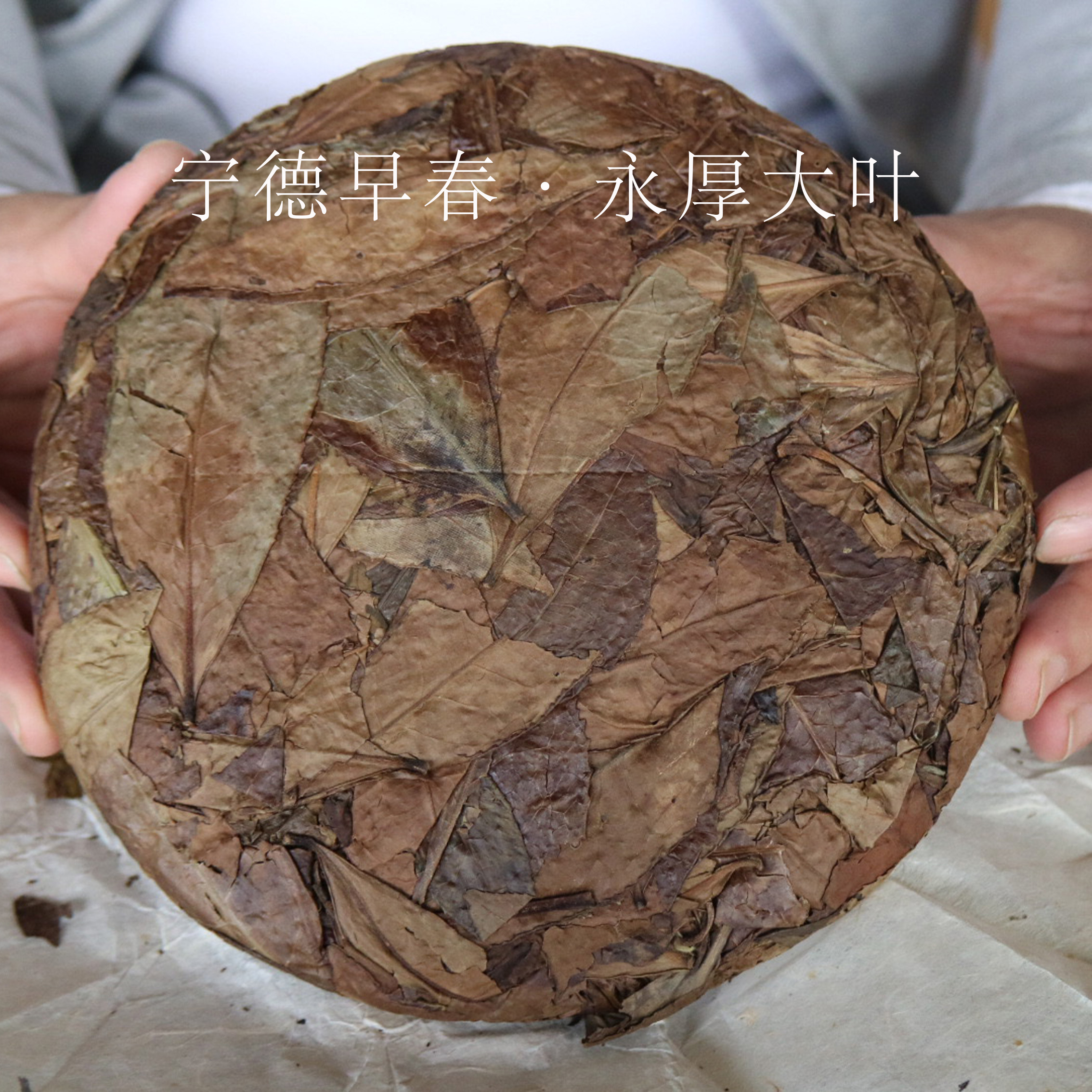 吴德泰宝茶·宁德早春·永厚大叶 2012