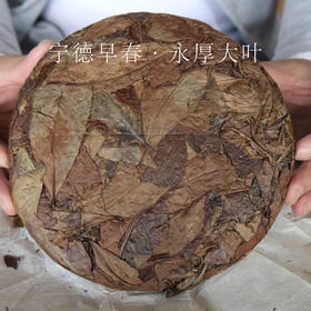 吴德泰宝茶·宁德早春·永厚大叶 2012