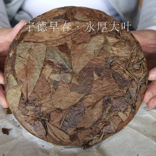 吴德泰宝茶·宁德早春·永厚大叶 2012 商品图0