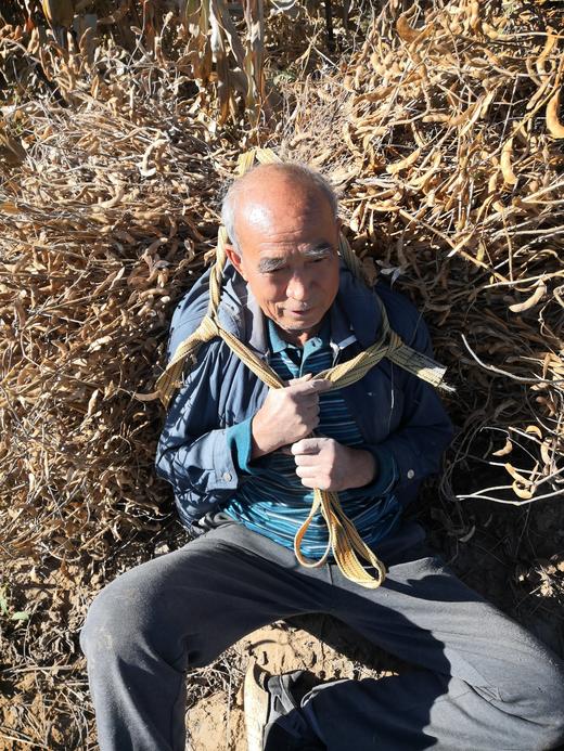 山地有机肾型黄豆   5斤包邮  山西 商品图6