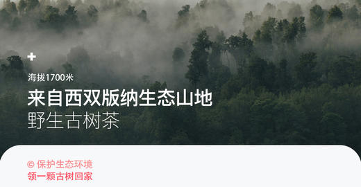 领一颗古树茶 | 加入会员*红瑾 商品图0