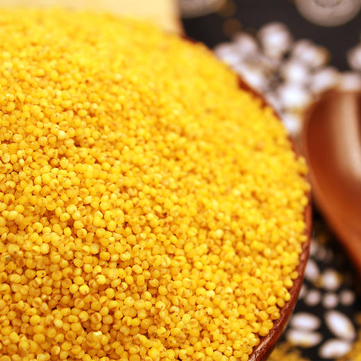 米脂黑小米、黄小米 商品图1