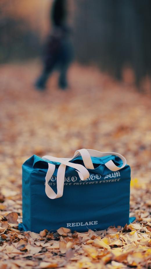 真理包 商品图3