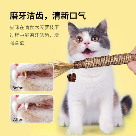 猫玩具木天蓼自嗨解闷猫薄荷球逗猫棒耐咬猫咪用品养猫神器/个 商品图4