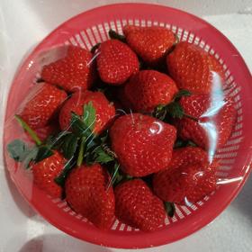 新鲜草莓一盒