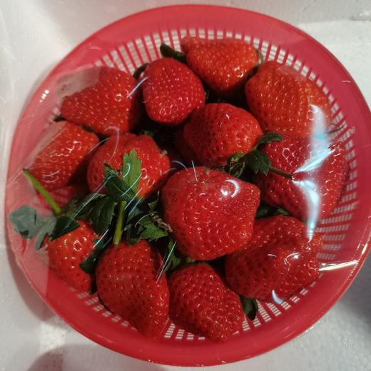 新鲜草莓一盒 商品图0