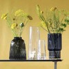 LSA纯手工玻璃Pleat花瓶家用透明玻璃水培花瓶 创意北欧玻璃花瓶 商品缩略图0