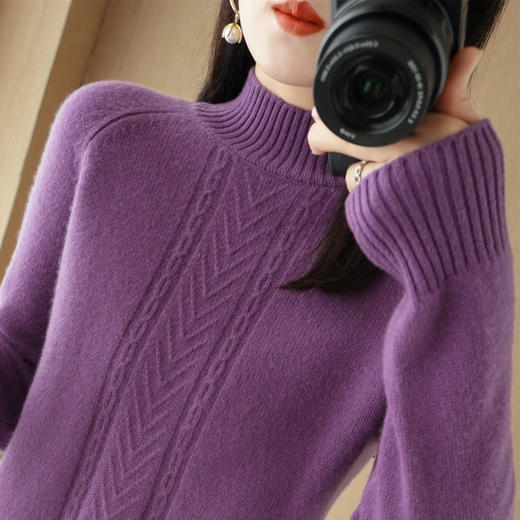 QHJY-JYJH22041秋冬新款女式毛衣提花加厚半高领插肩袖针织衫韩版羊毛打底衫 商品图1