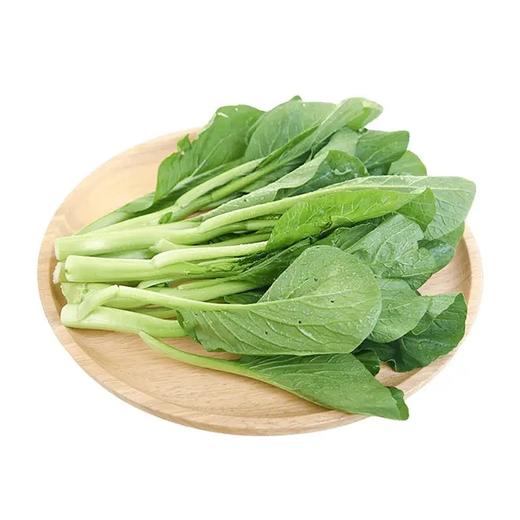 供港 芥兰（500g）|蔬菜 商品图0